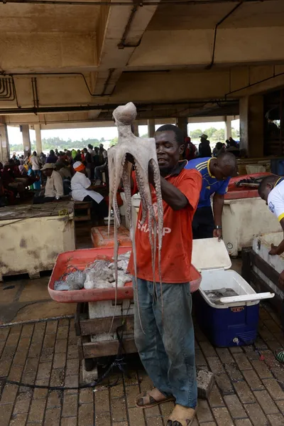 DSC_7607 (Large).JPG